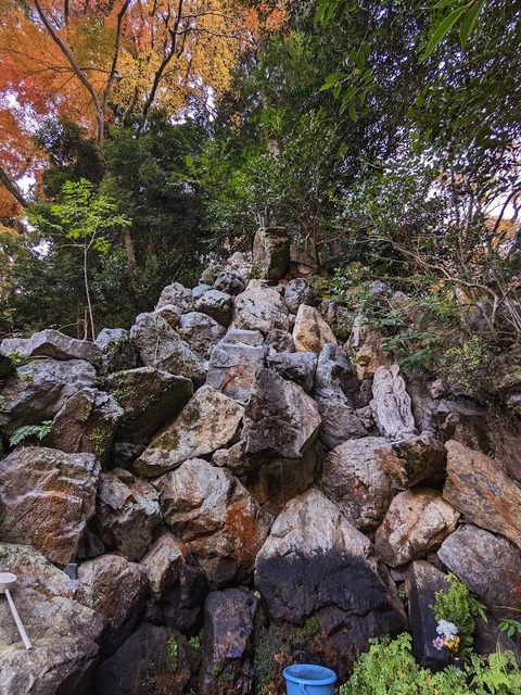 08.大護摩道場3