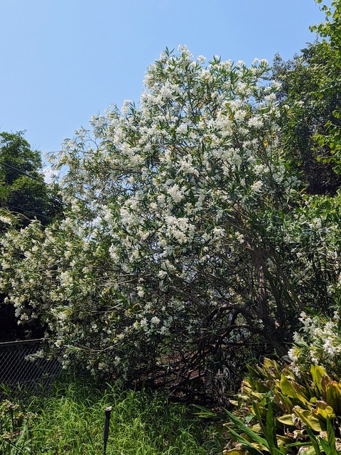 04.西側19