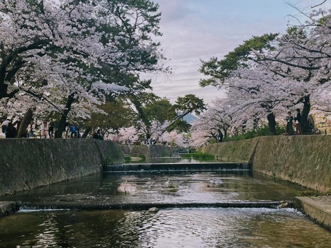 02.夙川2