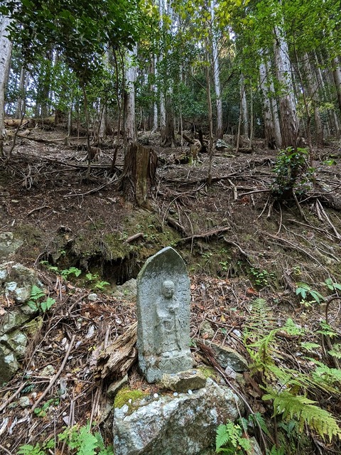 21.登山道12