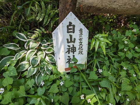 白山神社へ