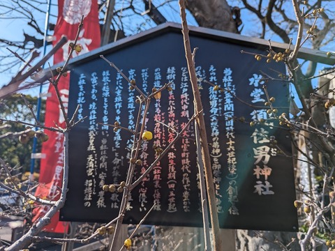 01.水堂須佐男神社×