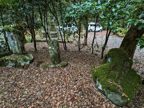 21.苔むした石