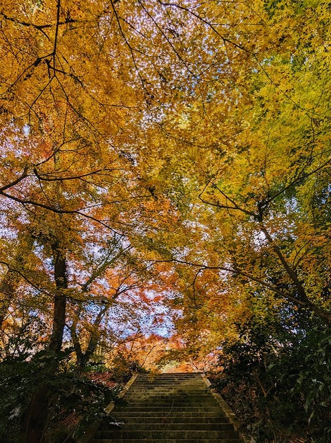 05.石段2