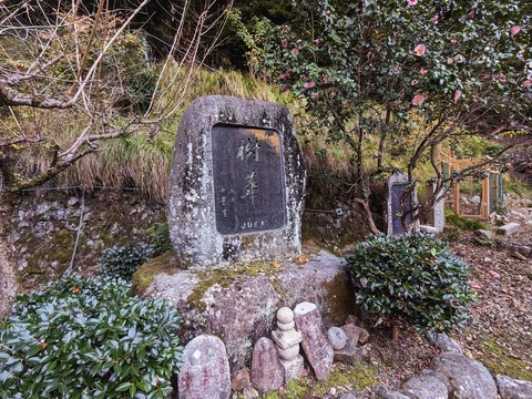 21.樹華