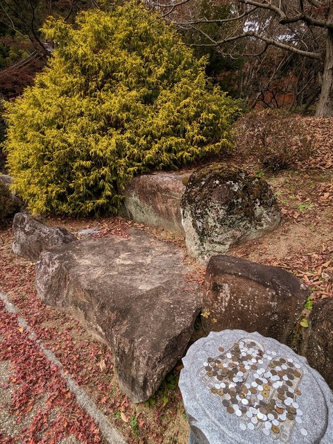 28.芳泉庭4