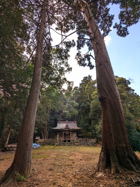 10.境内2