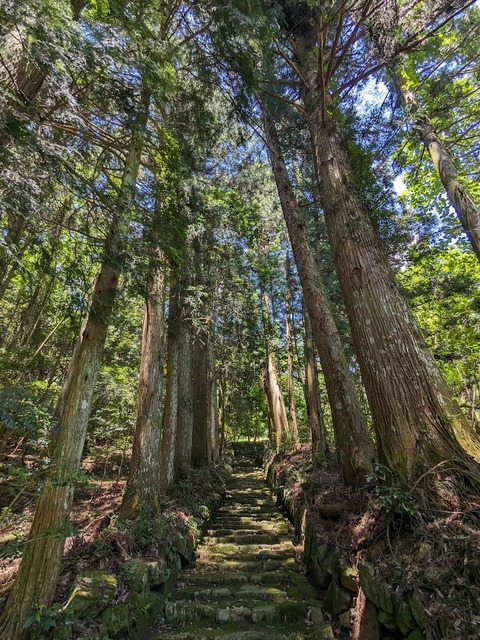 参道