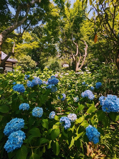 05.本堂前