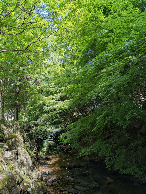 断層前の川