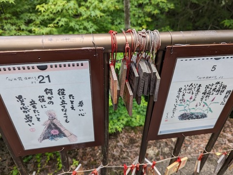 なげきの展望台へ8