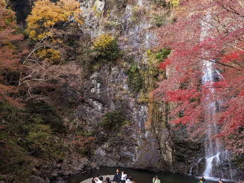 12.大滝12