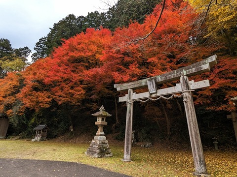 05.不明の神社2