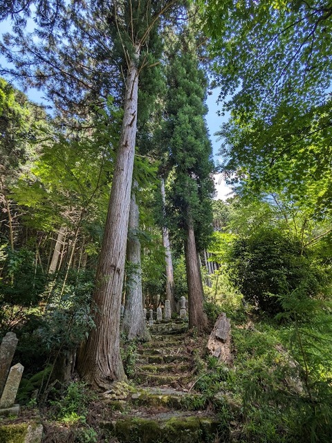墓地へ