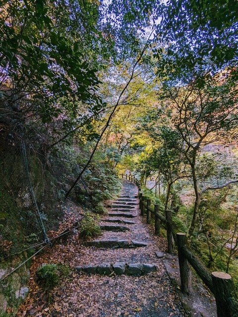 09.帰路