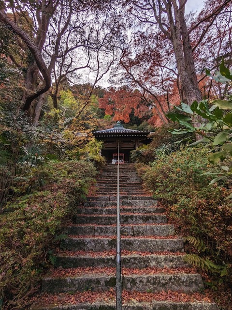 14.御影堂