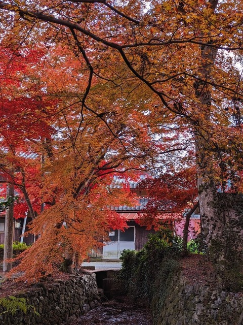 03.境内4