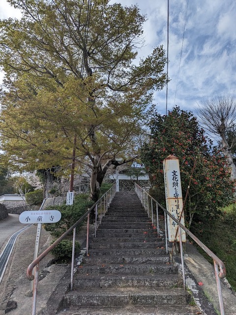 小童寺