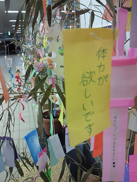 SBCA0021