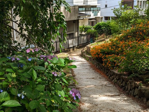 16.左岸2