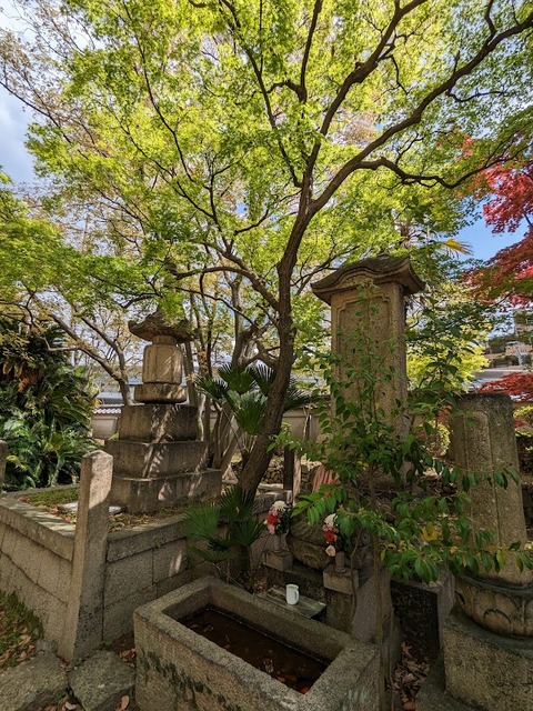 山門の東側2