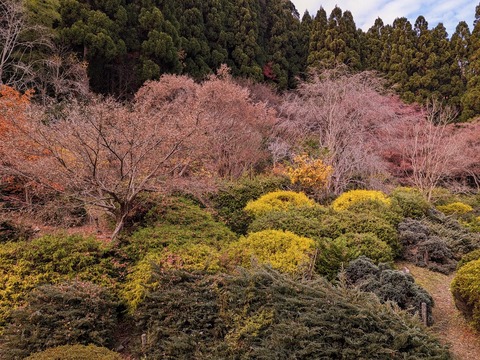 24.回廊10