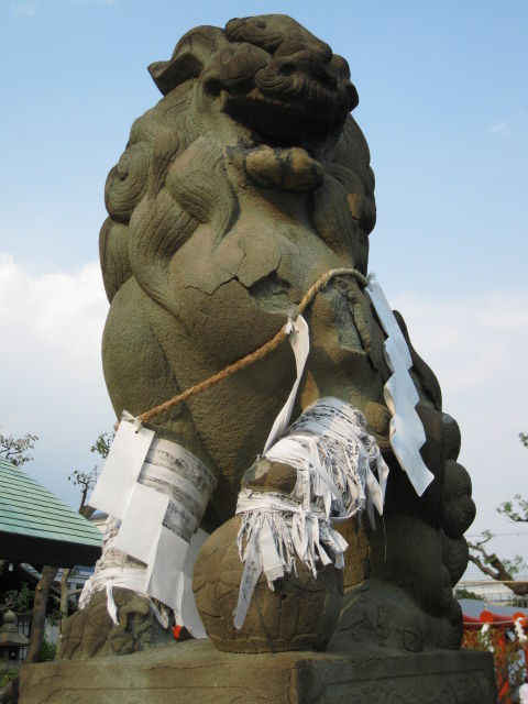 画像 020