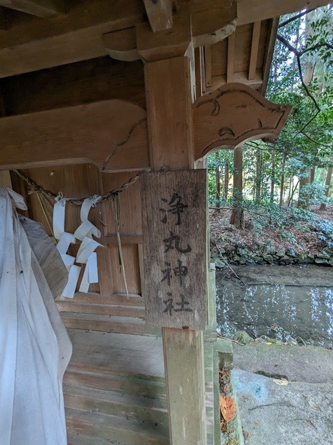 10.境内社群6