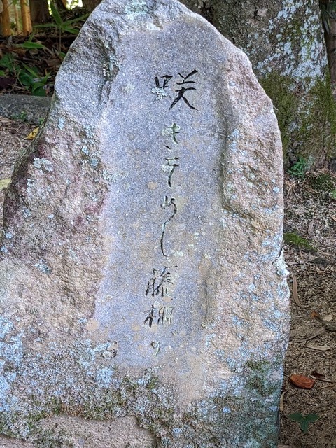 大乗院句碑⑥