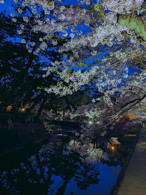 02.夙川5