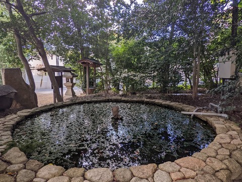 左手の池