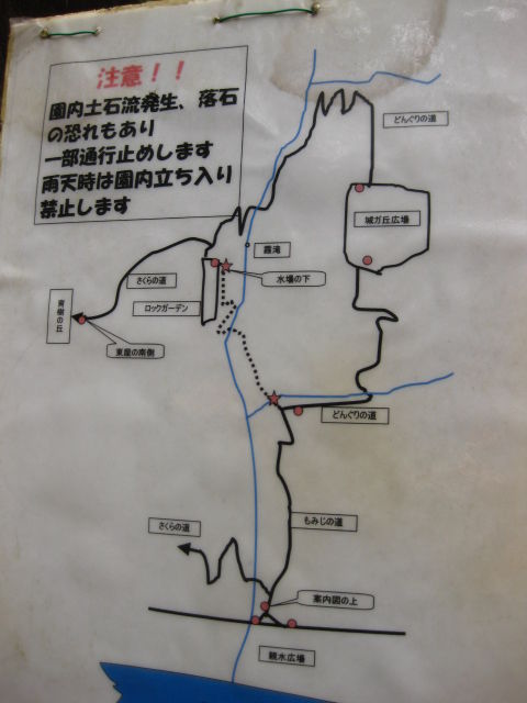 画像 010
