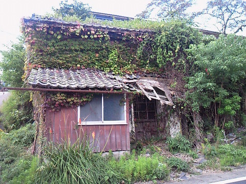 SBCA0050