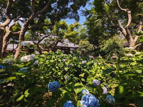 05.本堂前10