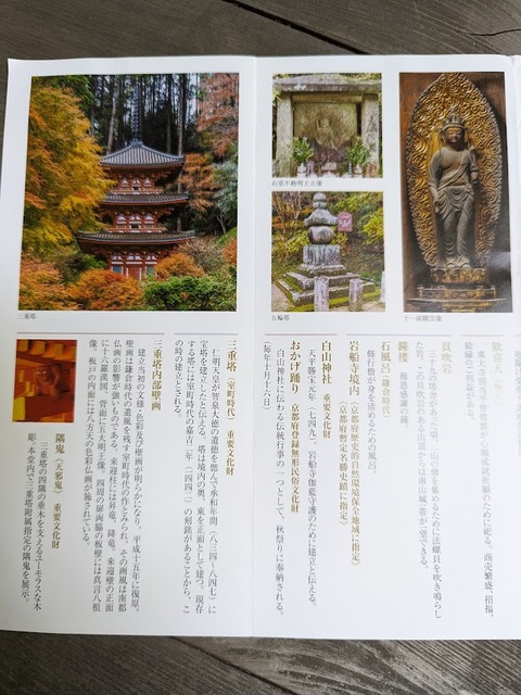 リーフレット4