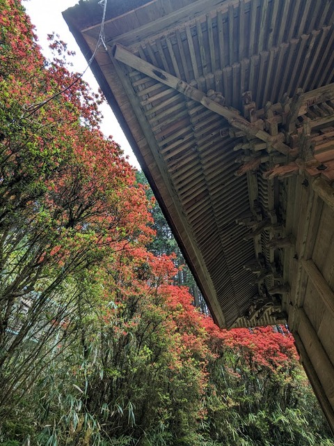 本殿7