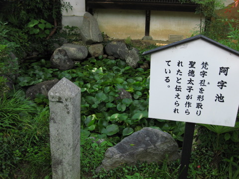 旅 030