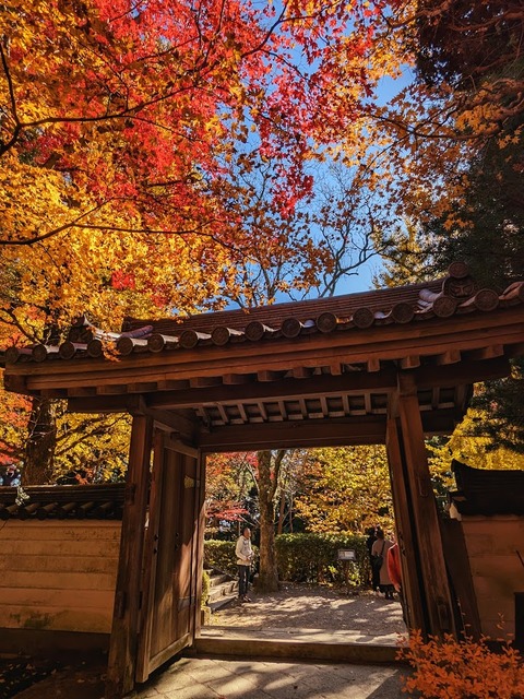 09.本坊9