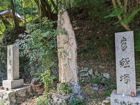 伽耶院9