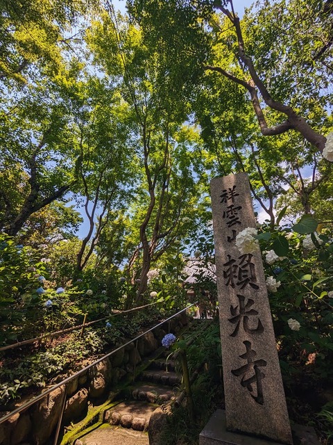 01.頼光寺3+