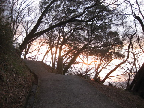羽曳野・八尾1.17-18 008