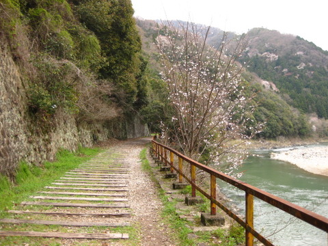 画像 003