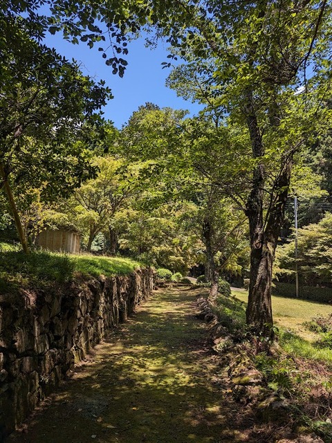 参道3