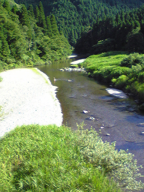 Image201