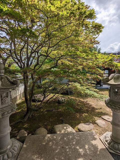 塔頭真光院5
