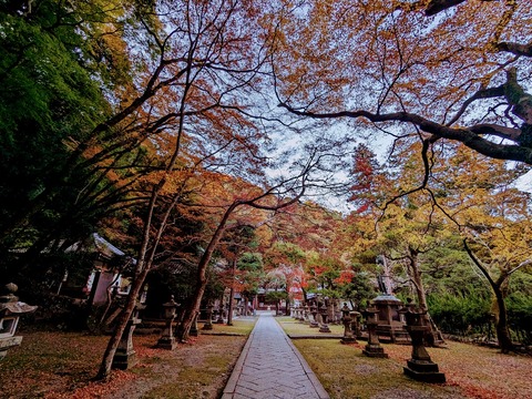 13.参道