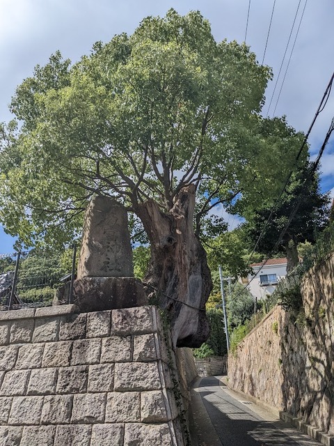 五宮神社2