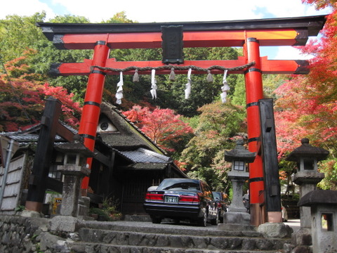 画像 243
