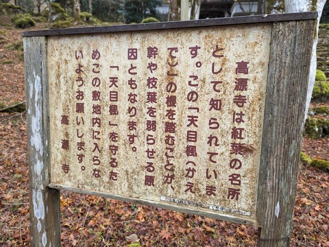 09.おねがい