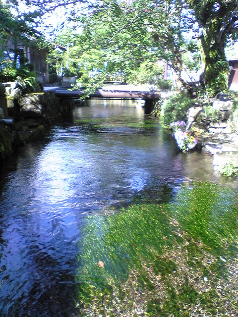 Image006